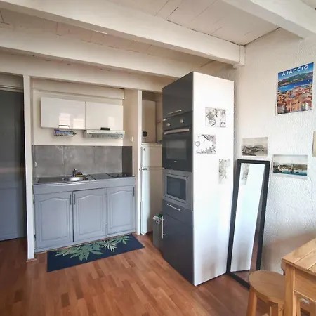 Apartament In Quiet And Convenient Ajaccio (Corsica)