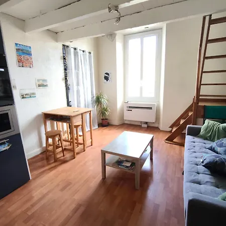 In Quiet And Convenient Ajaccio
